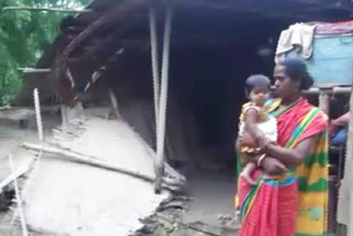 Elephant destroyed house in Hojai