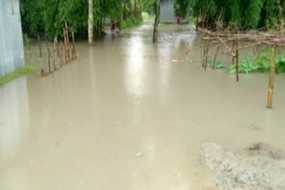 assam flood report