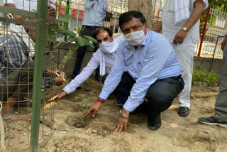 EDMC Mayor Nirmal Jain inaugurates Tulsi Van at Indira Park