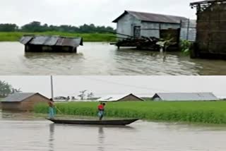 Assam flood