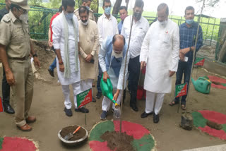 Cabinet Minister Siddharth Nath Singh and MP Mahesh Sharma planted saplings in Noida