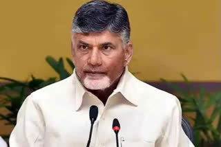 chandrababu naidu fires on ycp about kollu ravindra case