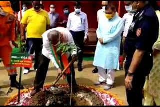 4000 plants planted in NDRF camp in ghaziabad