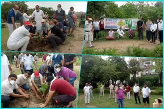 Corona pandemic situation Plantation program organized in Rohini