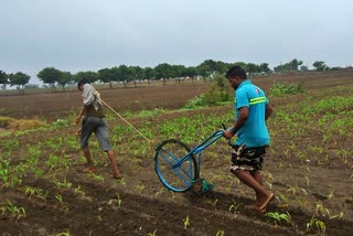hubli-farmer-rely-on-a-hero-bicycle-without-a-bull-or-a-machine-to-plow-his-land