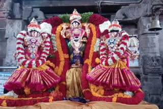 kadapa dst rajampeta consistency  nandaloor swamyvari temple brhamaosthavalu