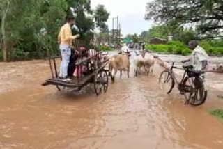 small river drain overflow due to heavy rain in village area of chhindwara