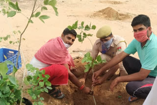 जालोर न्यूज, Plantation in Jaswantpura, Public awareness campaign