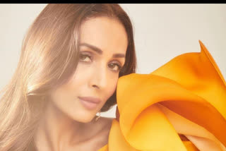 malaika arora shares how to boost immunity