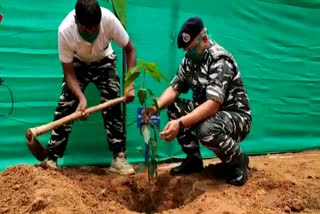 CRPF started plantation in Garhwa