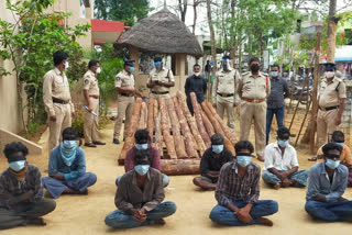 redsandal smugglers arrest in chinnagottigallu mandal at chittor