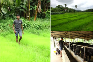 പാലക്കാട് ആനന്ദ് കൃഷി  പട്ടാമ്പി കോഴിക്കോട്ടിരി സ്വദേശി ആനന്ദ്  പാലക്കാട് കൃഷി വാർത്ത  palakkad farming news  patambi anand farming news  kerala farming news