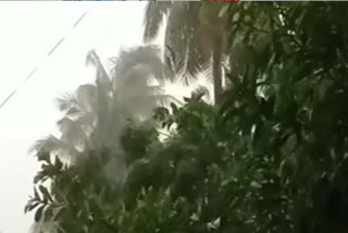 heavy rain in konaseema east godavari district