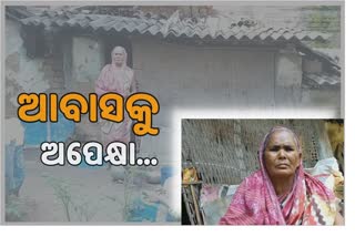 ଭଙ୍ଗା ଦଦରା ଘରେ ବିତୁଛି ଅସହାୟ ମହିଳାଙ୍କ ଜୀବନ