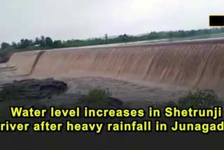 Water level increases in Shetrunji river in Junagadh