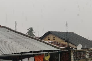 Universal rainfall in Bharuch city and district