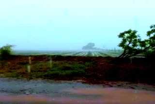 મોરબી જિલ્લ્લામાં સતત બે દિવસથી વરસાદી માહોલ, ટંકારામાં 6.5 ઇંચ જેટલો વરસાદ વરસ્યો