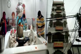 Shiva Lingam worship Tilak Nagar