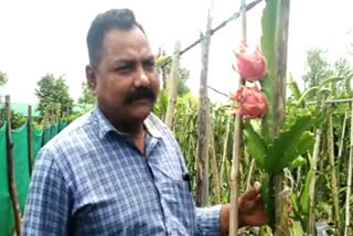 bajpur farmer