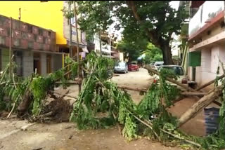 Increasing Containment Zones in Shimoga.