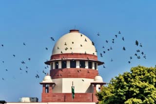 sc-expunges-delhi-hcs-remarks-on-gautam-navalkhas-case