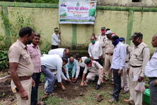 drumsticks planted in schools of Ratanpur under drumstick plantation campaign