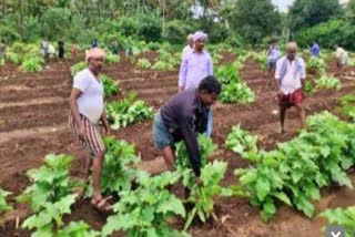 Chitradurga farmers facing lot of problems due to corona