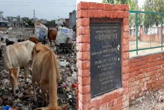 land marked for park became dumping zone at mithapur