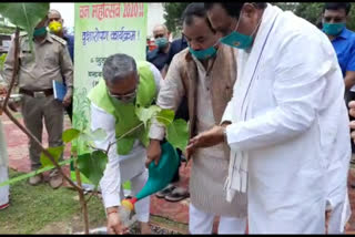 CM Trivendra did plantation