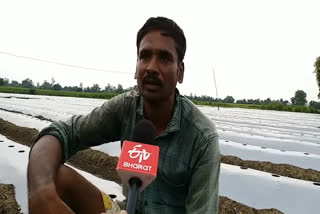 Farmer narendra singh