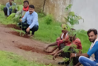 Planting done at Pahara Adarsh ​​School in Durg