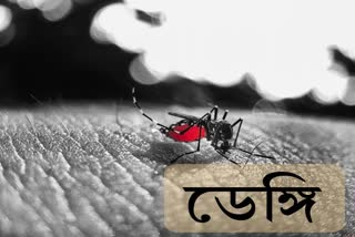 কী করে বুঝবেন আপনি ডেঙ্গি আক্রান্ত ?