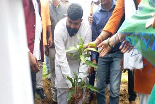 BJP plants 101 saplings on Dr. Shyama Prasad Mukherjee birth anniversary in ranchi