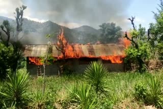 Cowshed caught fire in Haripur, Chamba