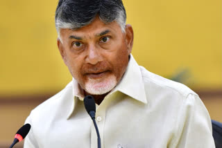 N Chandrababu Naidu, Chief, TDP