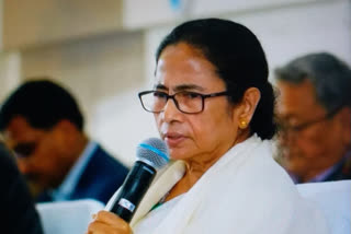 Mamata