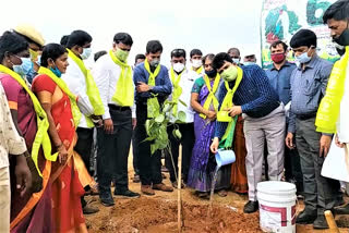 sangareddy-district-collector-hanumath-rao-in-haritha-haram-programme-at-kondapur-mandal