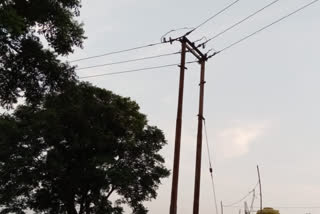 negligence of electricity department