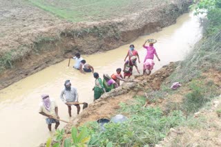 mgnrega workers made useless drain useful in hazaribag, news of mgnrega in jharkhand, news of mgnrega in hazaribag, हजारीबाग में मनरेगा मजदूरों ने बेकार नाला को उपयोगी बनाया, झारखंड मनरेगा की खबरें, हजारीबाग  मनरेगा की खबरें