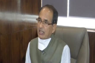 MP CM returns from Delhi, says working on portfolio allocation