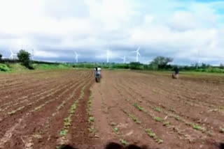 Due to lack of rain, sowing was delayed in 30% of the area, farmers were waiting for rain