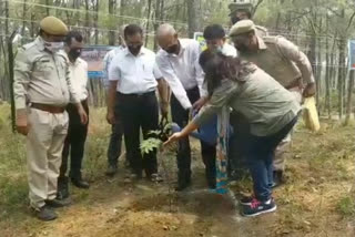 forest department  provided Weapons to the forest guards in Hamirpur