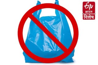 Plastic Bag