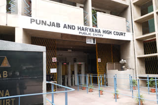 district council nuh members petition in highcourt