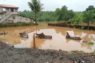 sindhudurg monsoon