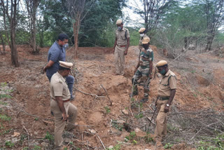 Inspection about suspicious elephants death