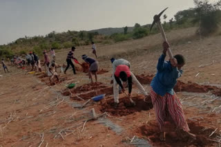 MGNREGA project  Indore  Madhya Pradesh  coronavirus outbreak  Mahatma Gandhi National Rural Employment Guarantee Act  Gowadi village  Madhya Pradesh Public Service Commission  MPPSC exams  MGNREGA schemes  Sachin Yadav  തൊഴിലുറപ്പ് പദ്ധതി  ലോക്ക് ഡൗണ്‍  സിവില്‍ എഞ്ചിനിയറിങ്