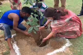 CCRT with DDA's Horticulture Department started tree plantation campaign in Dwarka