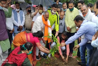 प्रभारी मंत्री अरविंद पांडे ने किया पौधरोपण