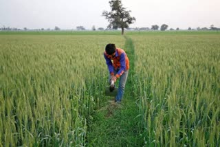 farmers are taking benefits of PM Crop Insurance Scheme